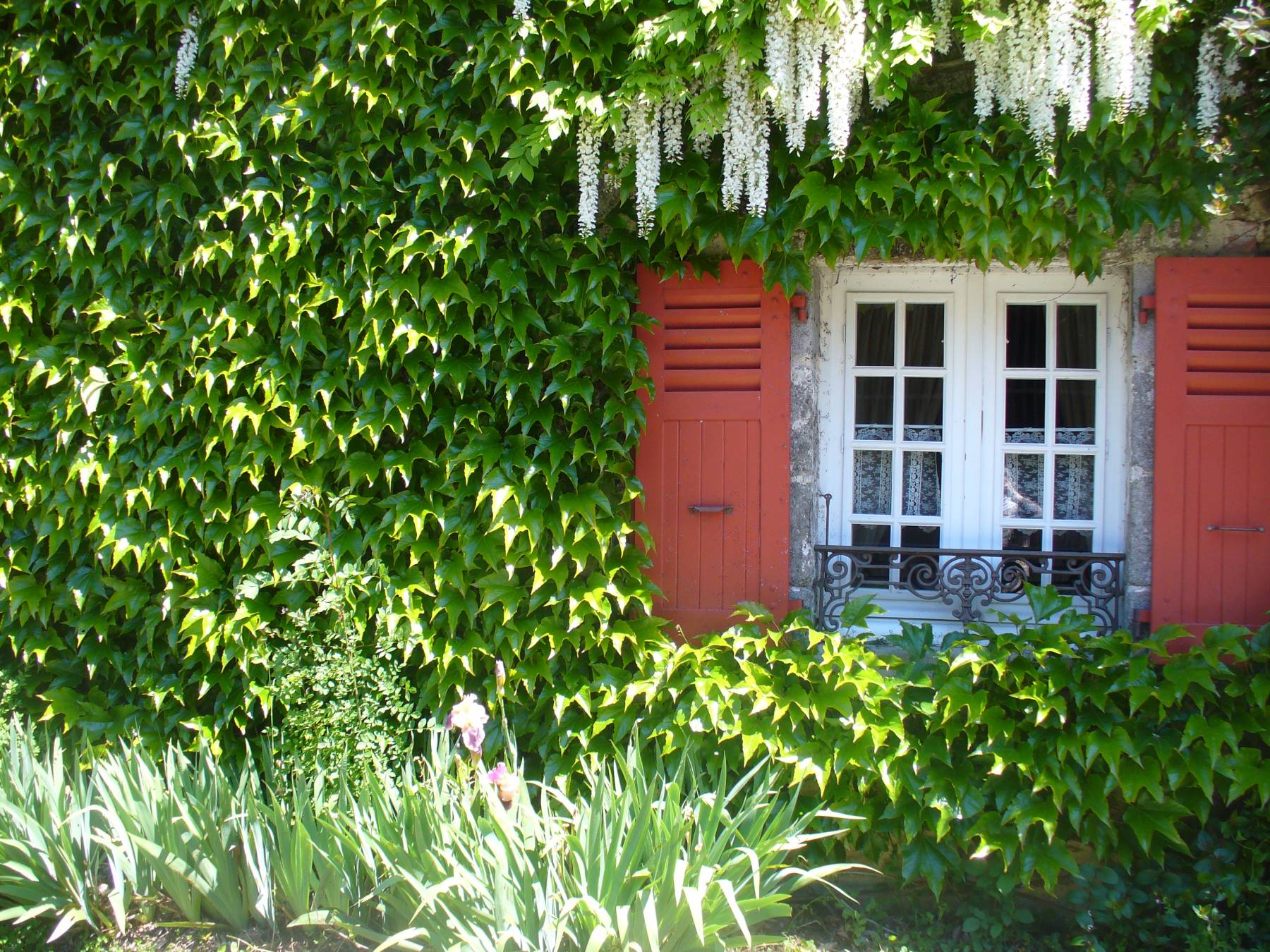location gite jard sur mer